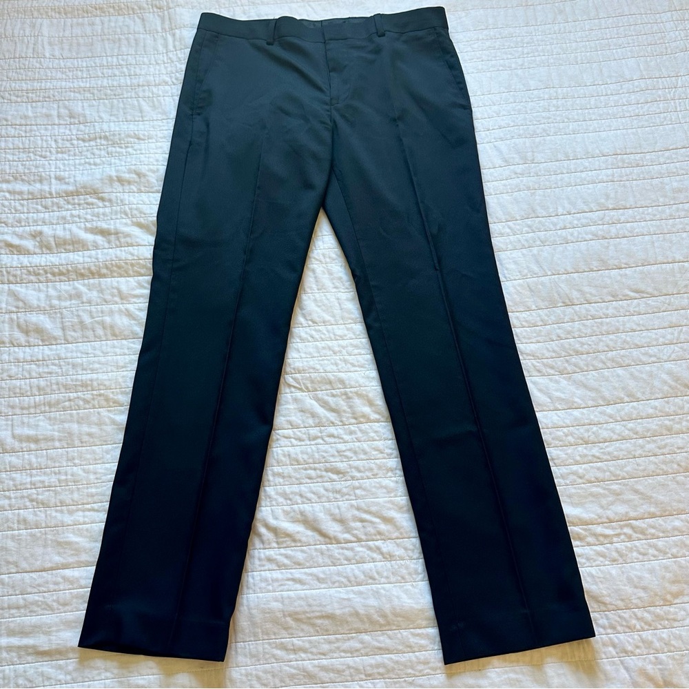 Louis Raphael Dress Pants